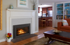 Jotul GI 545 DV Winter Harbor