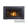 Jotul GI 545 DV Winter Harbor