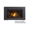 Jotul GI 545 DV Winter Harbor