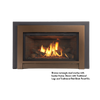Jotul GI 545 DV Winter Harbor