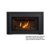 Jotul GI 545 DV Winter Harbor